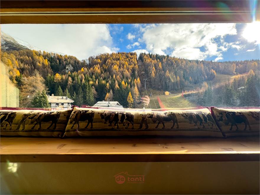 VISTA 