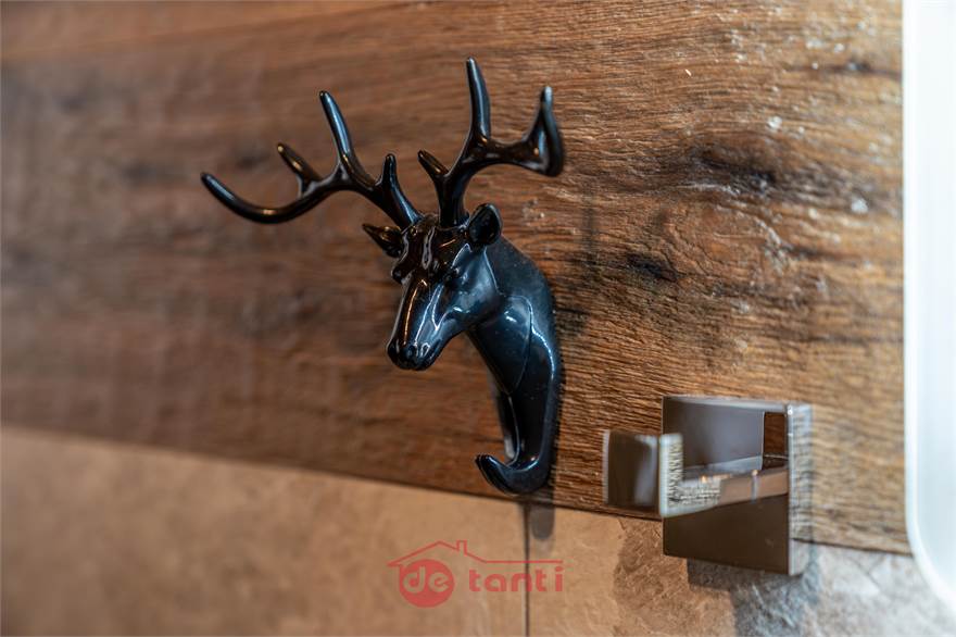 DETTAGLIO - INGRESSO