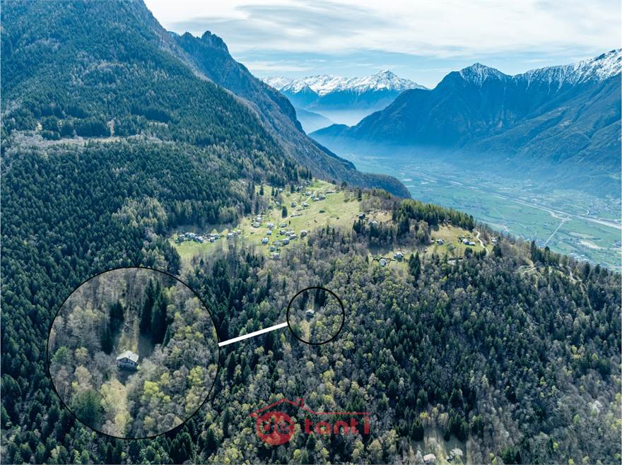 VISTA PANORAMICA CON DETTAGLIO