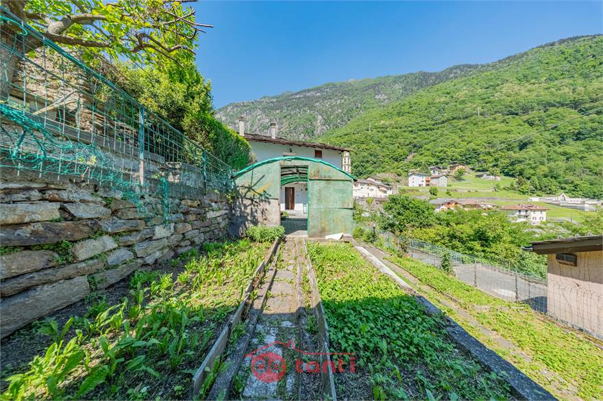 GIARDINO